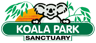 Koala Park Sanctuary - Accommodation Rockhampton