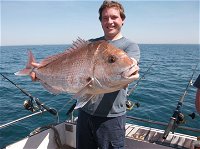 Melbourne Fishing Charters - Find Attractions