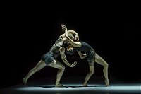 Sydney Dance Company - Attractions