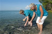 Aquascene Fish Feeding Sanctuary - Accommodation Resorts