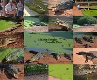 The Malcolm Douglas Crocodile Park - Tourism Bookings WA