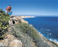 Cape Cuvier Coast - Tourism Bookings WA