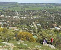 Mount Brown Lookout - Accommodation in Bendigo