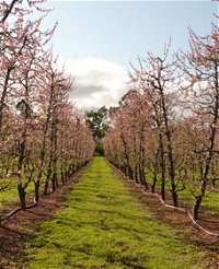 Raeburn Orchards - Tourism Bookings WA