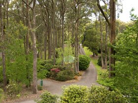 Mount Lofty Botanic Garden Crafers