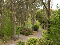 Mount Lofty Botanic Garden - Kingaroy Accommodation