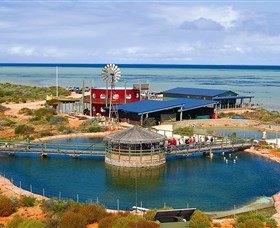 Shark Bay WA Accommodation Resorts