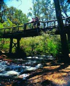 Events And Attractions Nannup WA Attractions Perth