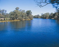 Lilac Hill Park - Surfers Paradise Gold Coast