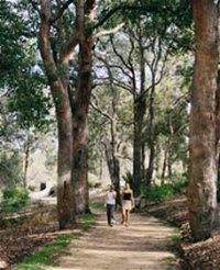 Law Trail and Lotterywest Federation Walkway Kings Park - Kingaroy Accommodation