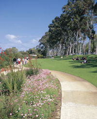 Kings Park Free Guided Walks - Melbourne Tourism