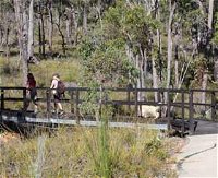 Forest Path Crooked Brook - Accommodation Tasmania