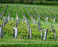 Sienna Estate Winery - QLD Tourism
