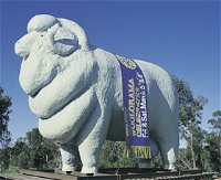 Giant Ram Tourist Park - Attractions Brisbane