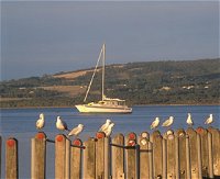 Oyster Harbour - Accommodation Nelson Bay