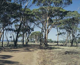 Nairibin WA Accommodation Main Beach