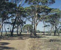 Lake Dumbleyung - Yarra Valley Accommodation