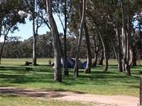 Black Cockatoo Bush Camp - Tourism Canberra