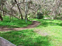 Yurrebilla Trail - Accommodation Australia