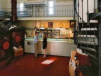 Penfolds Magill Estate Cellar Door - SA Accommodation