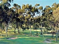 Tanunda Pines Golf Club - Accommodation Newcastle