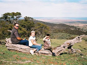 Baroota SA Tourism Cairns