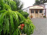 Gully Gardens - Accommodation in Bendigo