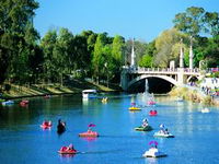 Captain Jolleys Paddle Boats - SA Accommodation