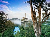 Tahune Adventures Tasmania - Tourism Bookings WA