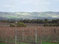 Mclaren Vale Premium Wines - Tourism Canberra