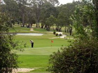 Mount Barker-Hahndorf Golf Club - Attractions Perth
