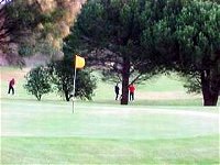 Meningie Lake Albert Golf Club - Port Augusta Accommodation