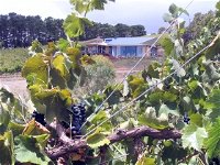 Zimmermann Wine - Tourism Bookings WA