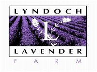 Lyndoch Lavender Farm and Cafe - Accommodation Mooloolaba
