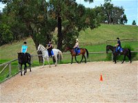 Megan Jones Riding School and Trail Rides - Accommodation Redcliffe