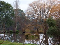 Gemtree Wetlands Ecotrail - Accommodation Tasmania