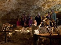Naracoorte Caves National Park - Accommodation Cooktown