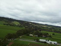 Kangarilla Road Vineyard And Winery - Accommodation Nelson Bay