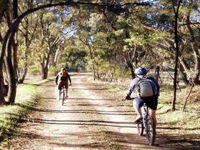 Bike About Mountain Bike Tours And Hire - Accommodation ACT