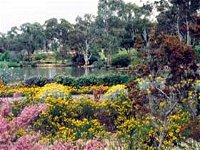 Wittunga Botanic Garden - WA Accommodation