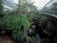 Bicentennial Conservatory - Gold Coast Attractions
