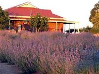 Bella Lavender Estate - Accommodation Cooktown