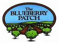 The Blueberry Patch - Attractions