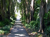 Adelaide Botanic Garden - Palm Beach Accommodation