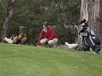 Tasmania Golf Club - The - Accommodation in Brisbane
