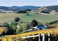 Freycinet Vineyards Pty Ltd - Accommodation Australia