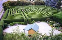 Westbury Maze and Tea Room - Attractions Perth