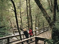 Franklin River Nature Trail - St Kilda Accommodation