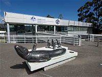 Australia's Antarctic Headquarters - Attractions
