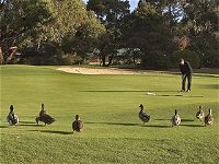 Royal Hobart Golf Club - Accommodation Newcastle